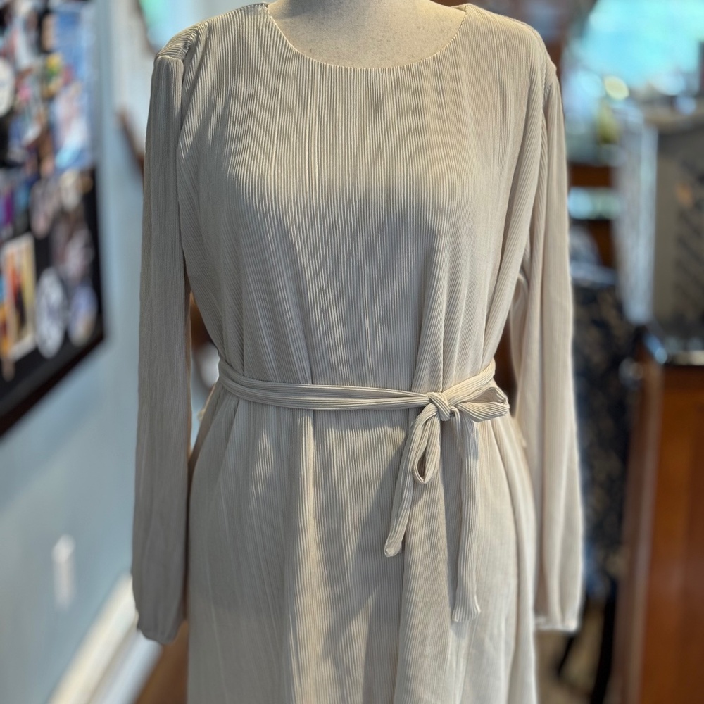 Abercrombie and Fitch Pleated Satin Plisse Long Sleeve Mini Dress